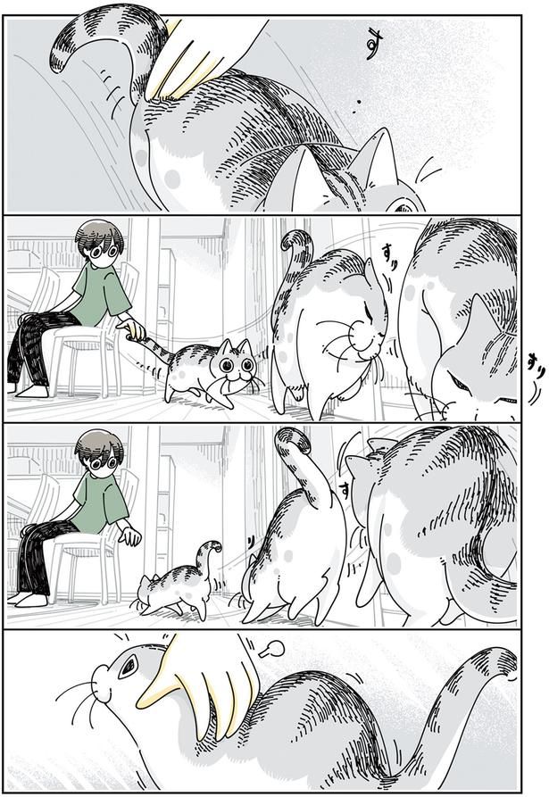すりすり （C）キュルZ／KADOKAWA