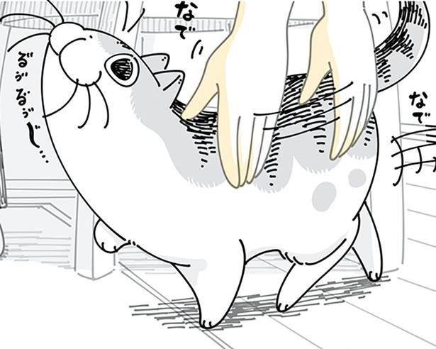 撫でてほしそうなのに （C）キュルZ／KADOKAWA