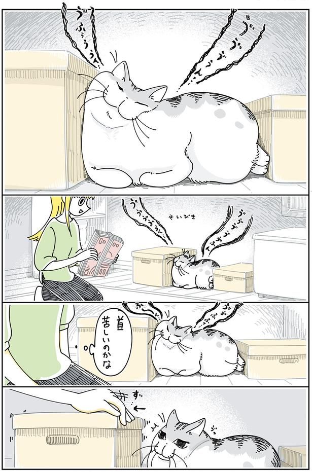 すごい寝相 （C）キュルZ／KADOKAWA