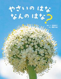 遊びながら数や形の概念を育む「数や形に親しむ絵本」＆好奇心ムクムク！「自然や科学を楽しむ絵本」【最新号からちょっと見せ】の画像3