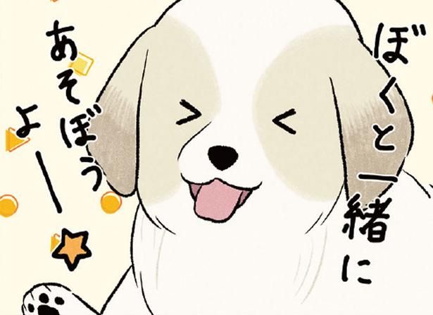 まったりしたい先輩犬に「遊ぼう！」新入り大型犬が猛アピールした結果 （C）今日のルンルン、黒羽沙乃／KADOKAWA