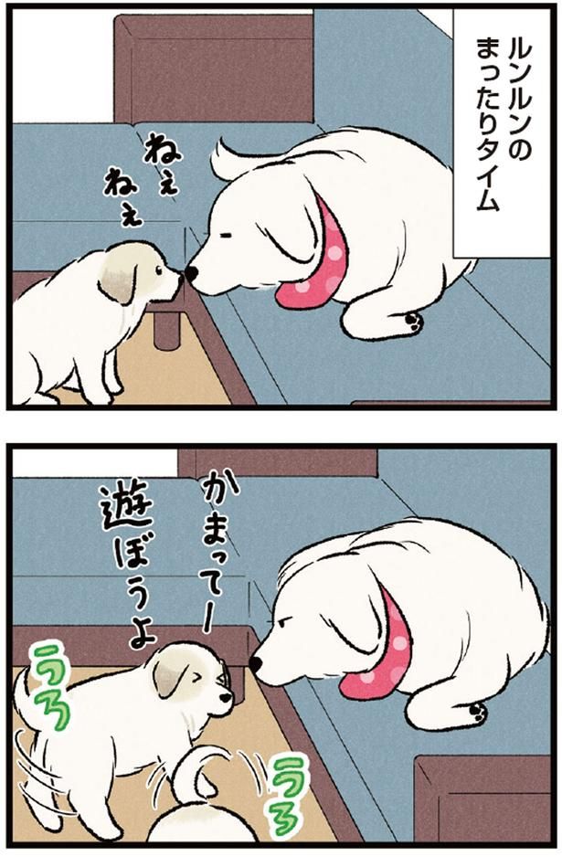 ルンルンのまったりタイム （C）今日のルンルン、黒羽沙乃／KADOKAWA