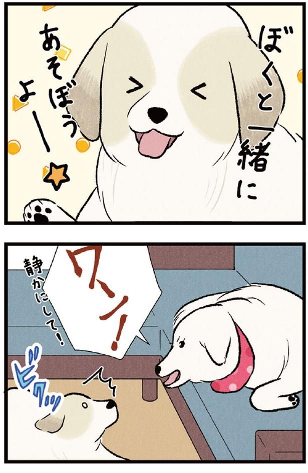 あそぼうよー （C）今日のルンルン、黒羽沙乃／KADOKAWA