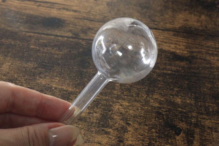 女性の手が透明な鉢用ウォーターディスペンサーを1個持っている様子