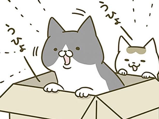 大人気な通販のダンボール （C）卵山玉子／KADOKAWA