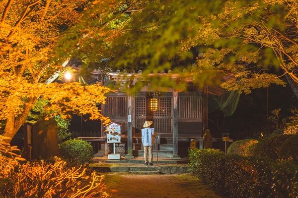 【香川県坂出市】白峯寺で「夜間特別拝観ライトアップ2026」開催！「願いと祈り」をテーマにした体験も