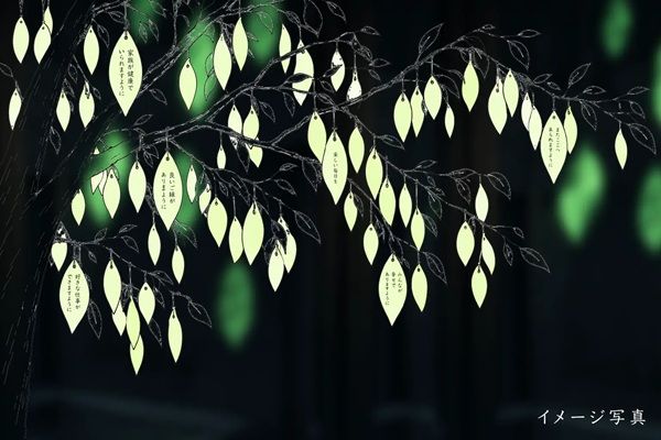 【香川県坂出市】白峯寺で「夜間特別拝観ライトアップ2026」開催！「願いと祈り」をテーマにした体験も