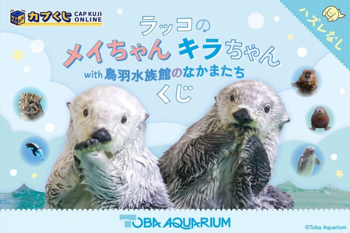 鳥羽水族館とカプくじのコラボレーション第3弾