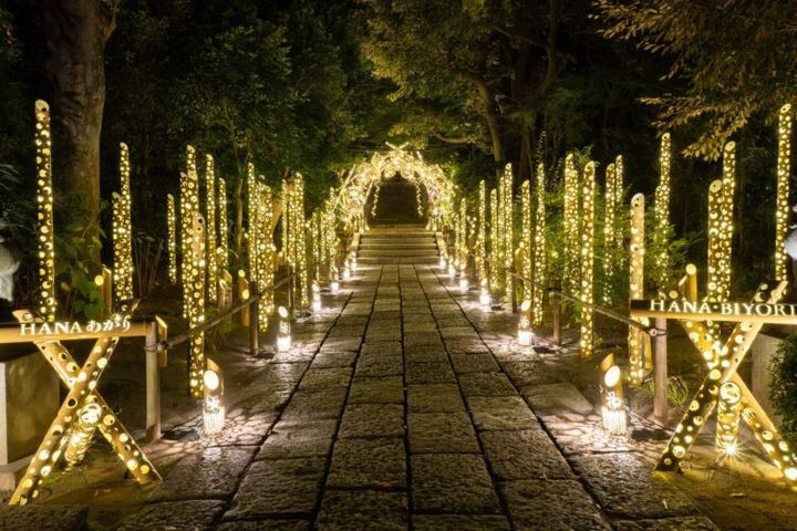 竹あかりが並ぶ「花灯小路」