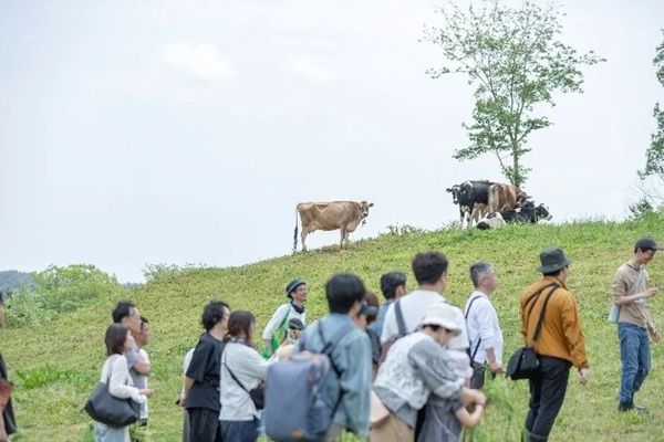 【東京都中央区】サゴタニ牧農がポップストアを開催！ジェラートや低温殺菌牛乳、ヨーグルトなどを販売