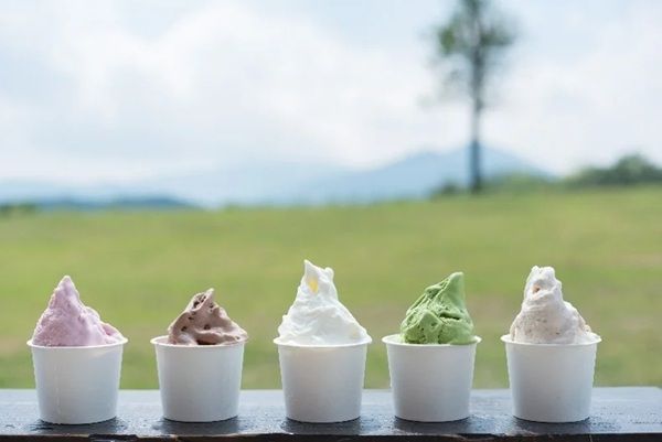 【東京都中央区】サゴタニ牧農がポップストアを開催！ジェラートや低温殺菌牛乳、ヨーグルトなどを販売