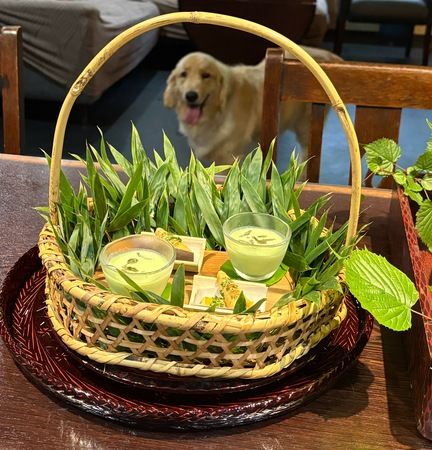 【東京都檜原村】自然や地域の食が楽しめる古民家ヴィラ「VILLA ONE-YA」オープン！愛犬との滞在もOK