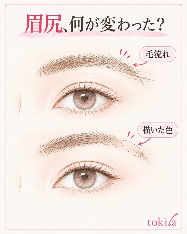 眉尻の毛流れと、地肌に描いた色が薄くなった区間を分けて確認する図