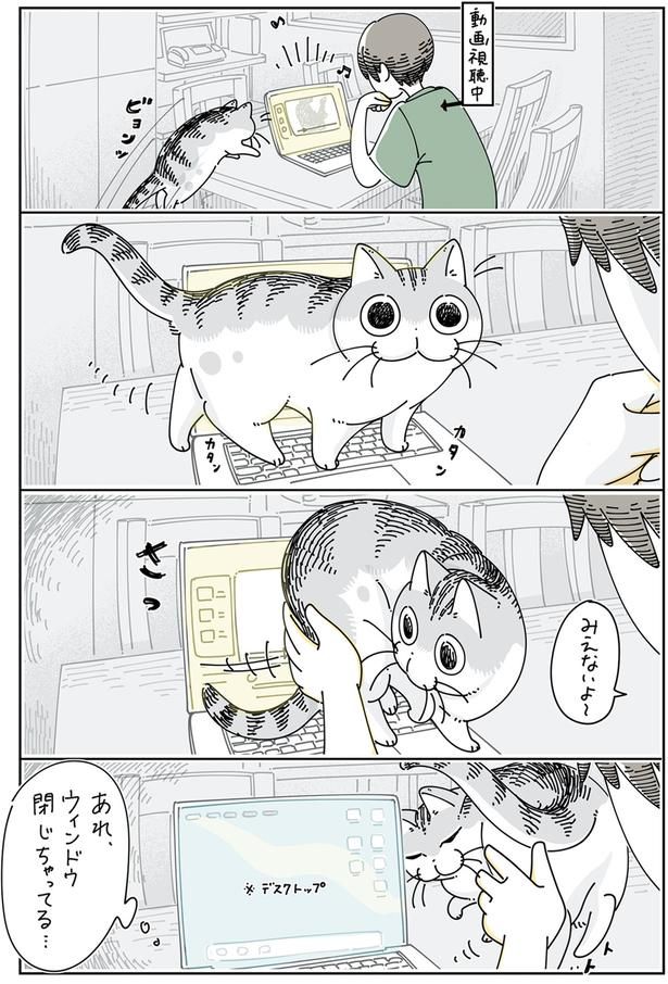 ショートカットキーを使うネコ （C）キュルZ／KADOKAWA