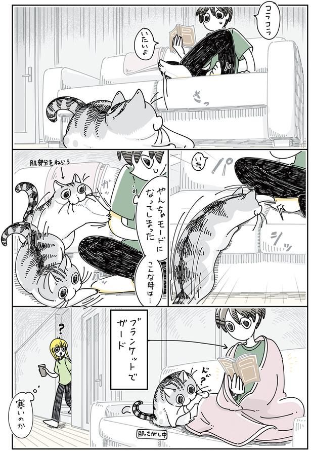 こんな時は （C）キュルZ／KADOKAWA