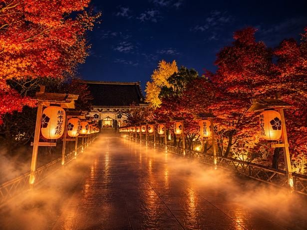 智積院