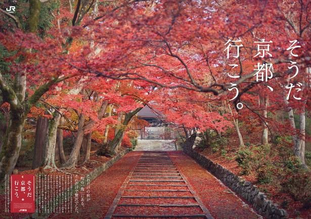 JR東海「そうだ 京都、行こう。」2026年秋キャンペーンCMの舞台、山科「毘沙門堂門跡」