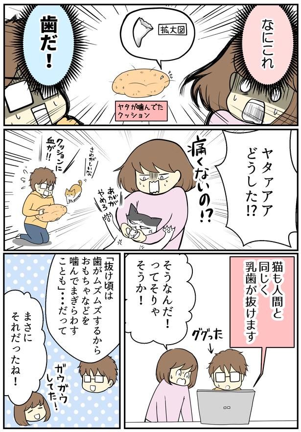 02 画像提供：海原こうめさん