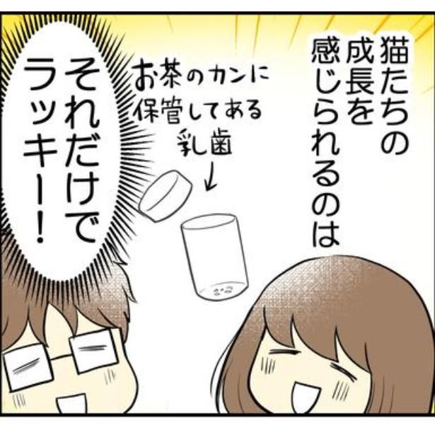 猫の成長を感じられるだけでラッキー 画像提供：海原こうめさん