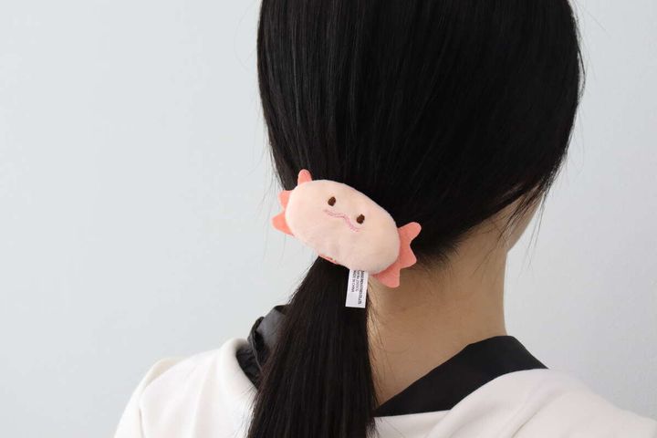 黒髪の女性がポニーテールにベージュのウーパールーパーの顔型ヘアゴムを付けている後ろ姿
