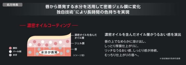 ケイト リップモンスターQの唇の上のジェル膜と濃密オイルを含むオイル層を表す模式図