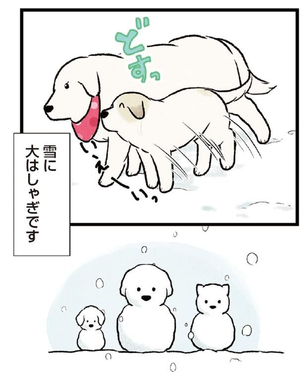 雪に大はしゃぎです （C）今日のルンルン、黒羽沙乃／KADOKAWA