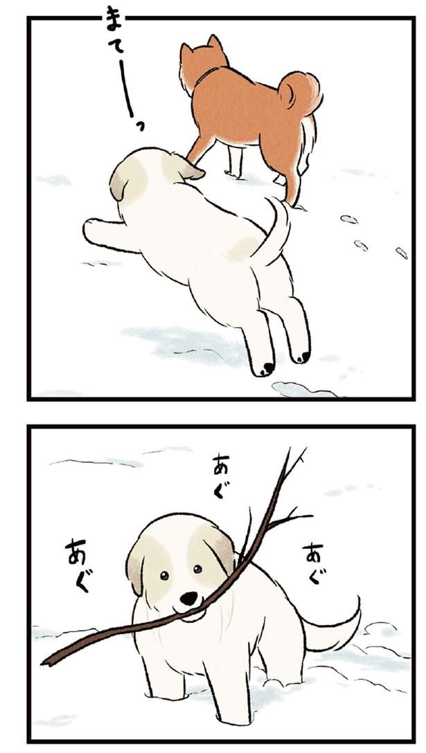 まてーーーーーーっ （C）今日のルンルン、黒羽沙乃／KADOKAWA