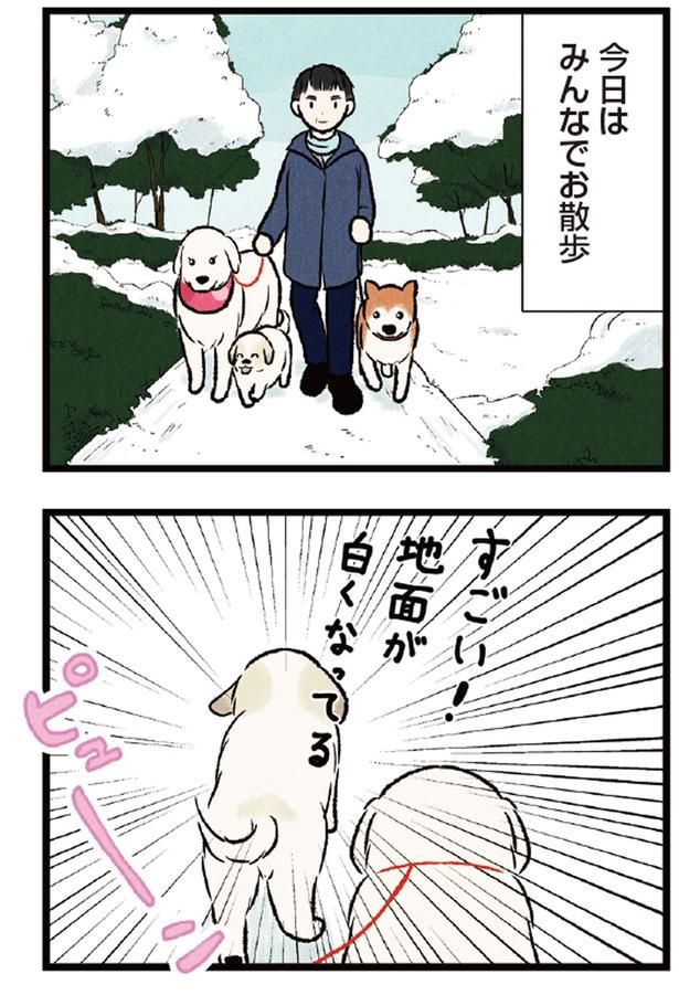 ピューン （C）今日のルンルン、黒羽沙乃／KADOKAWA