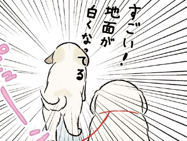 「雪だ！」真っ白な景色に大興奮する大型犬たちが可愛すぎる！ （C）今日のルンルン、黒羽沙乃／KADOKAWA