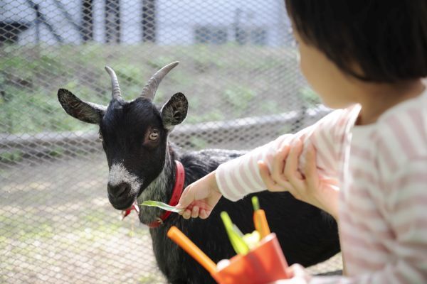宮崎県都城市の「焼酎の里 霧島ファクトリーガーデン」で「霧島秋まつり2026」開催！食と焼酎の文化を楽しもう
