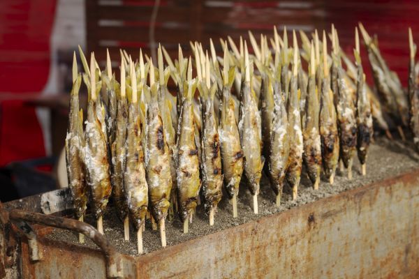 宮崎県都城市の「焼酎の里 霧島ファクトリーガーデン」で「霧島秋まつり2026」開催！食と焼酎の文化を楽しもう