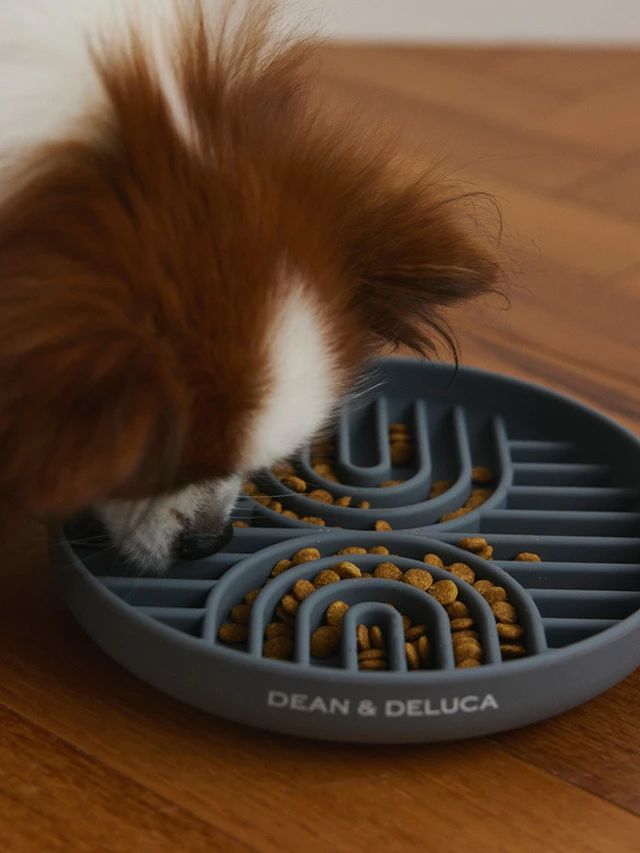 食べるスピードを自然にコントロールできるボウル