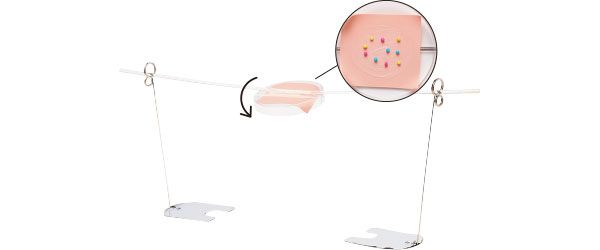 塗りたてのベタつきを比較 10秒後、逆さまに