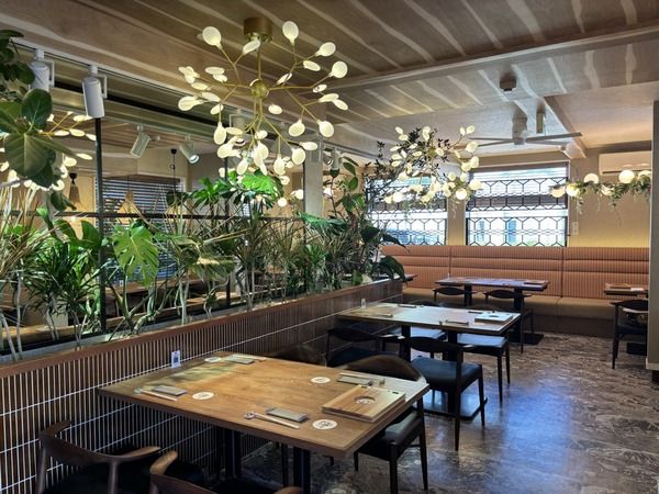 三度揚げのアグー豚カツと10種類以上の島野菜を楽しめる！古宇利島から車で約5分の屋我地島に琉球ベイブがOPEN