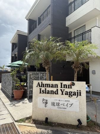三度揚げのアグー豚カツと10種類以上の島野菜を楽しめる！古宇利島から車で約5分の屋我地島に琉球ベイブがOPEN