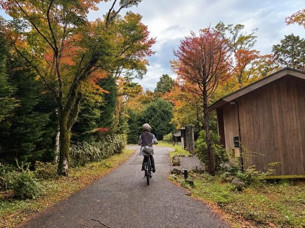 電動アシスト自転車ならアップダウンのある箱根散策も軽快