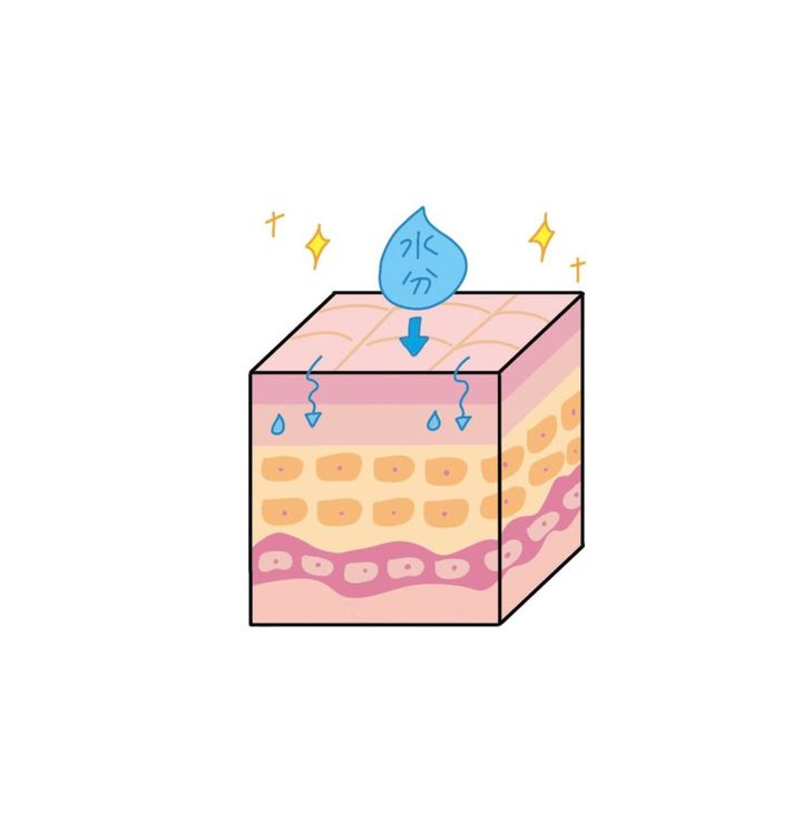 角層までしっかり届くこと◎