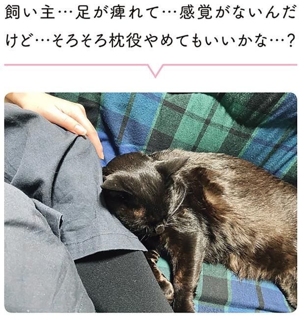 飼い主…足が痺れて…感覚がないんだけど… （C）AKR／KADOKAWA