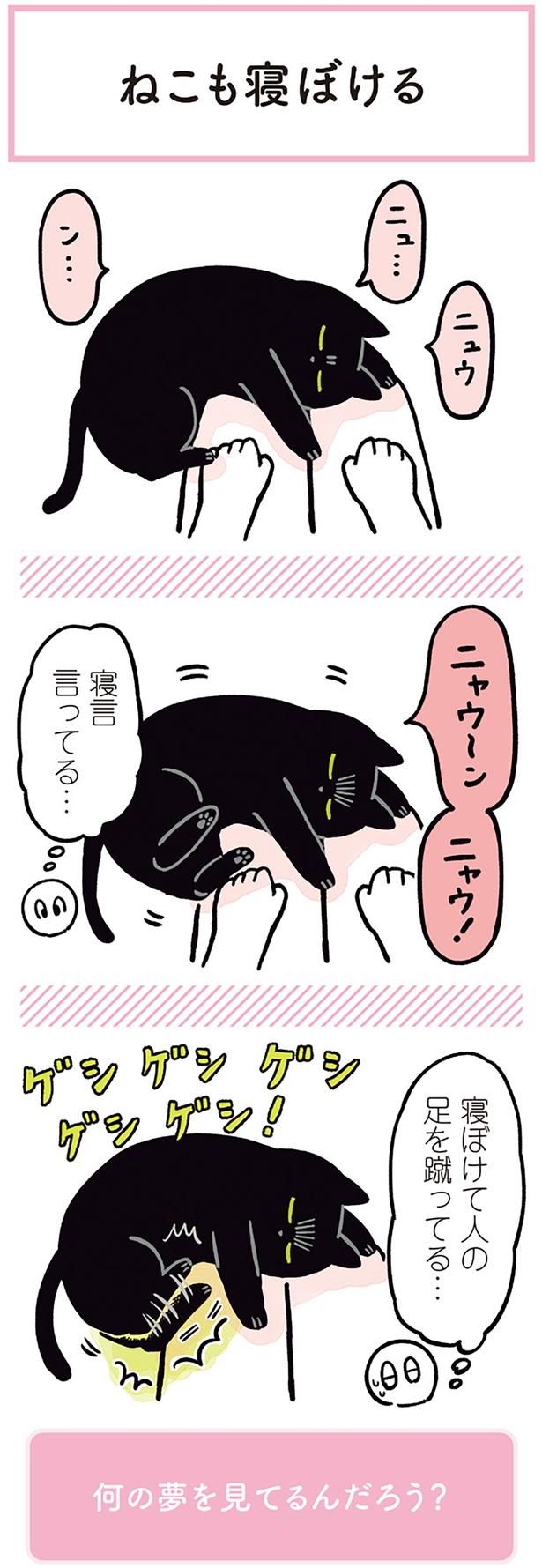 寝言言ってる… （C）AKR／KADOKAWA