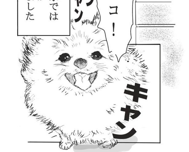 飼い主のことが大好きで飛び出してしまい…!! 飼い主のことが大好きで飛び出してしまい…!!