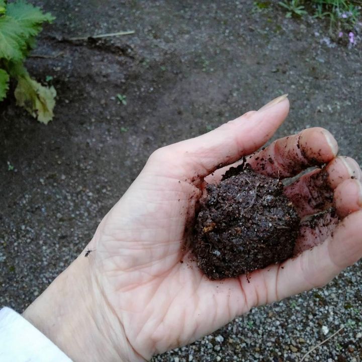 手のひらにのせた黒っぽい土