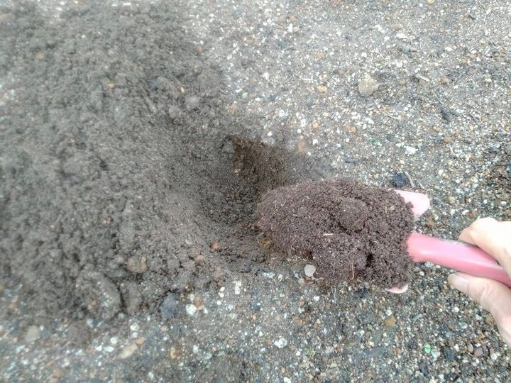 有機物を入れてふかふかになった土