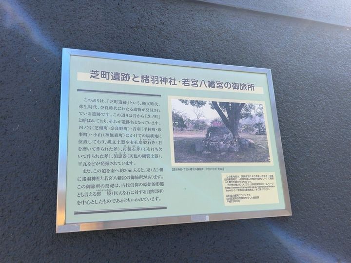  (321447)