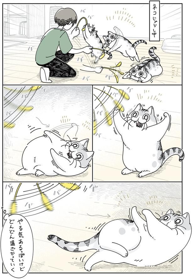 とどきそうでとどかないネコじゃらし （C）キュルZ／KADOKAWA