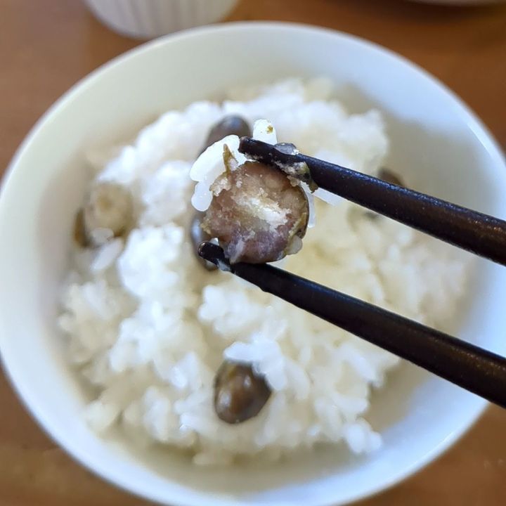 【小さな山暮らし】むかごを採って食べてみました！