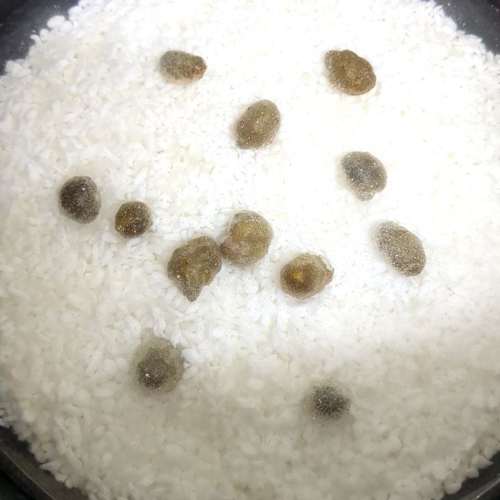 炊飯器にセット！