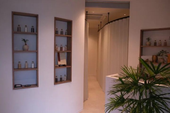 壁面の棚と観葉植物を配したIKINUKI - 雅 -の店内