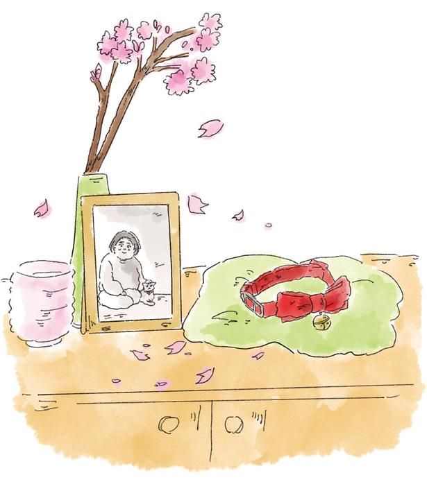 さくらの首輪と写真 （C）中山有香里／KADOKAWA