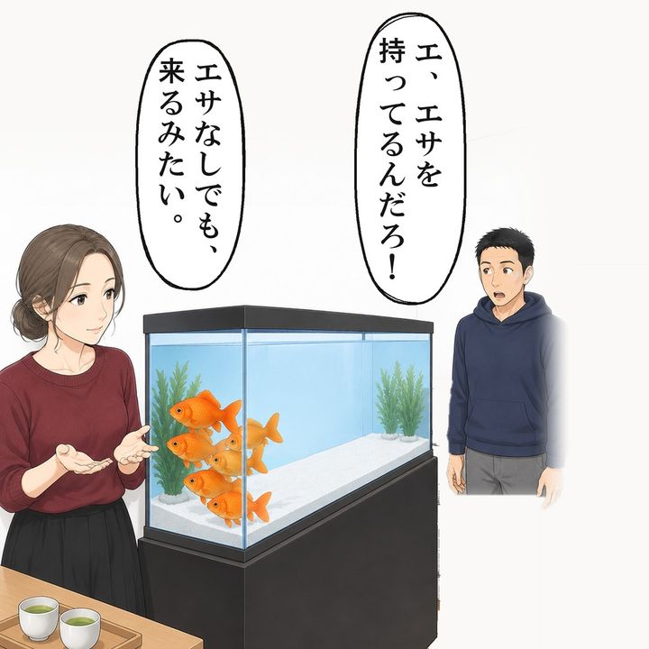 毎朝エサをあげる私の前に、魚がいっせいに寄ってきました