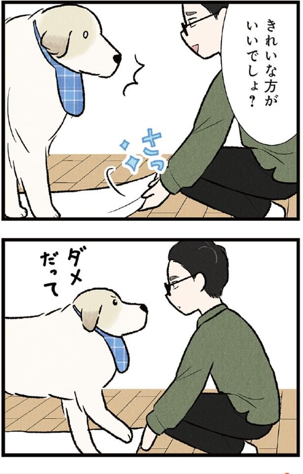 きれいな方がいいでしょ？ （C）今日のルンルン、黒羽沙乃／KADOKAWA